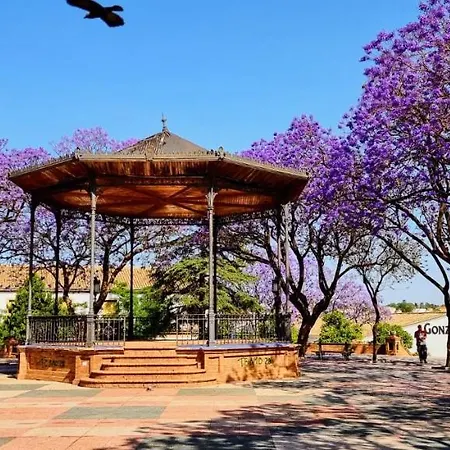 דירה Alazan Jerez Iv-parking Gratis-wifi-netflix חרז